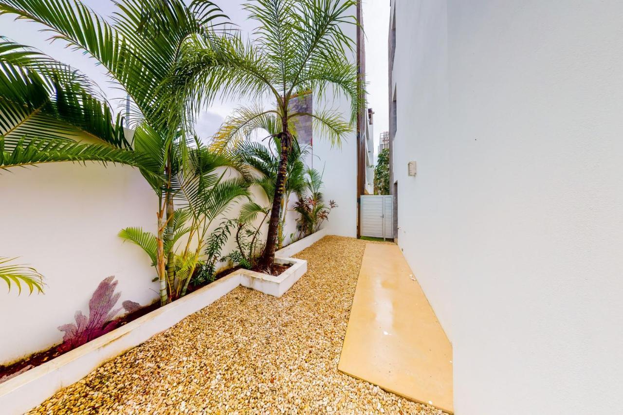 Xaman Apartamento