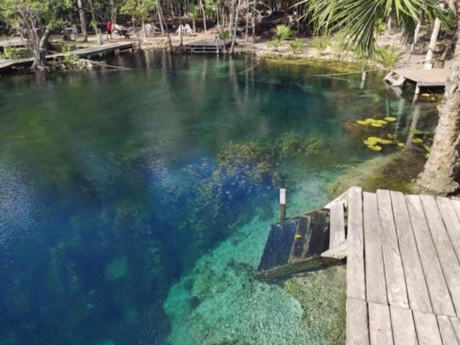 Holiday home Casa Changuito Jungle-based In Tulum