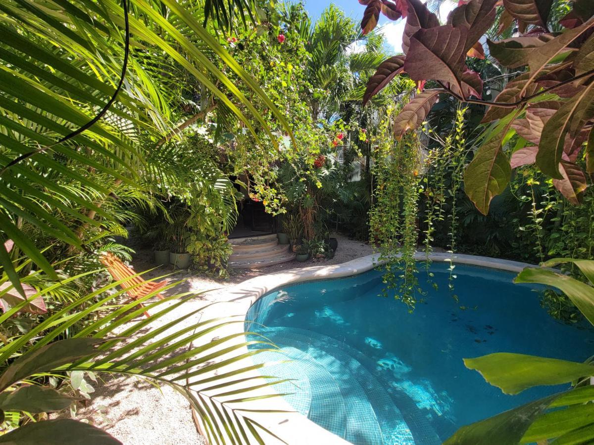 Apartment The Secret Garden