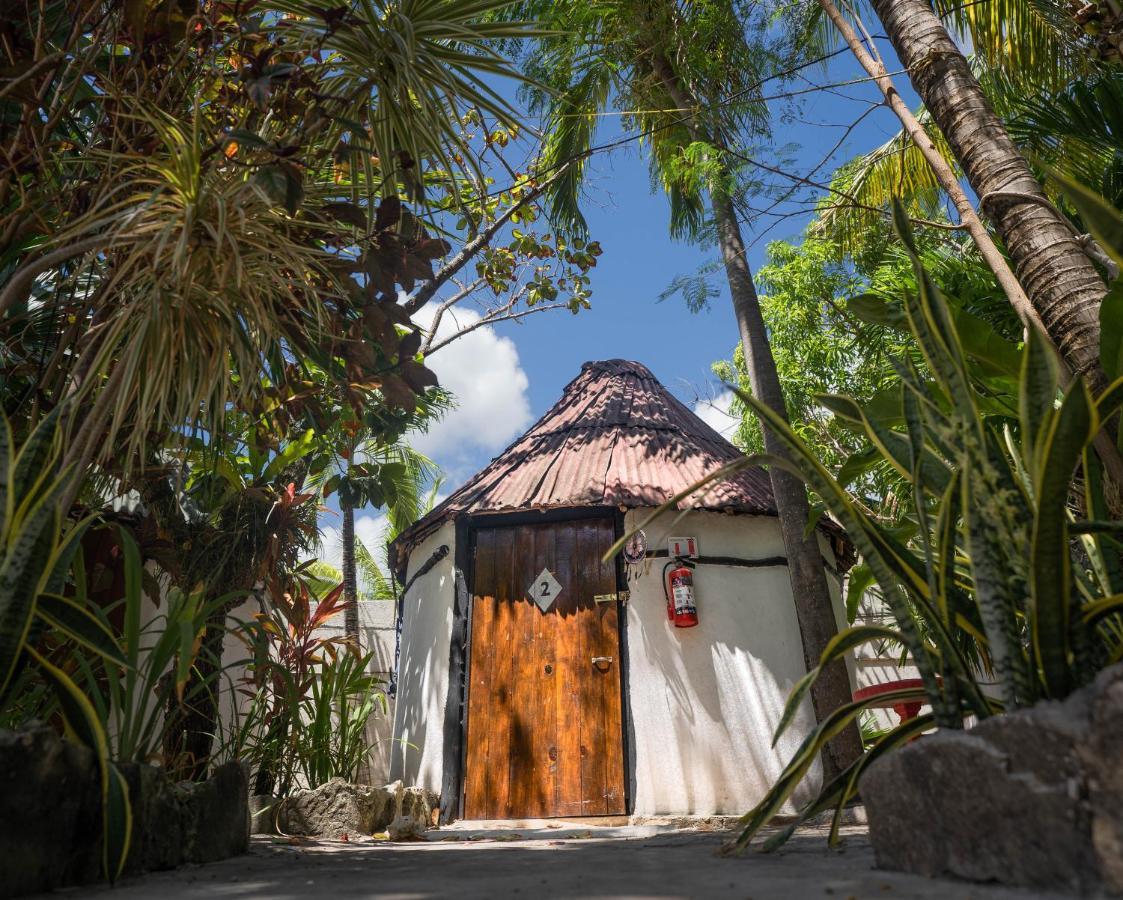 Oryx * Tulum