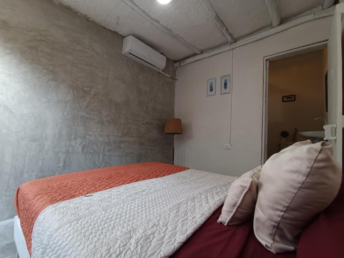 Primitive Selfcheck-in Adults Only Tulum