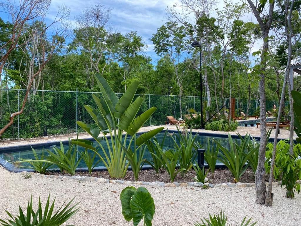 Aldea Savia By Andiani Travel Apartment Tulum