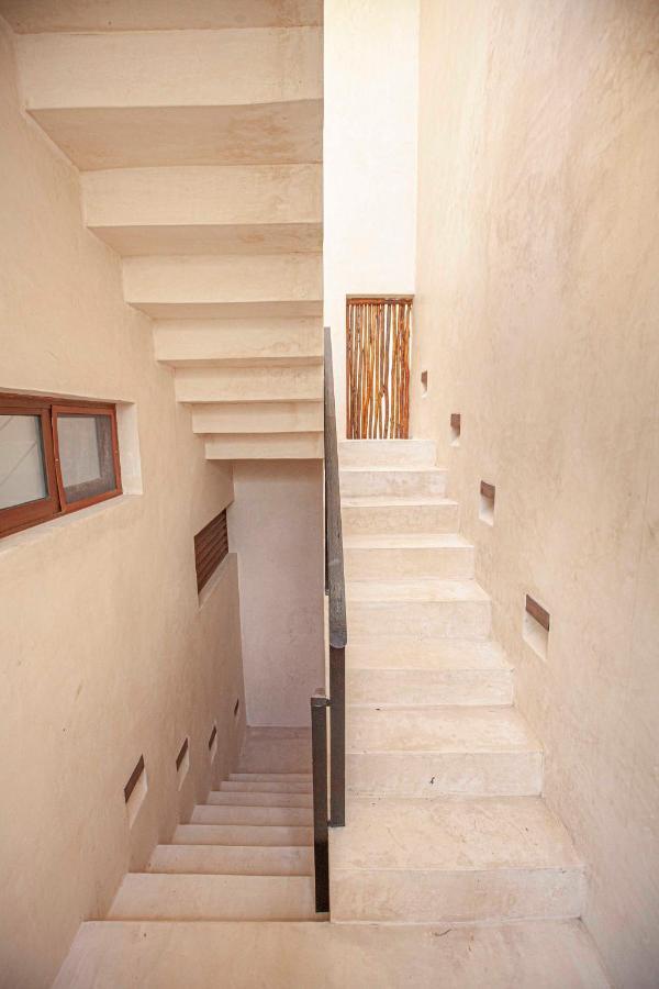 Calma Jungle Villas Apartment *