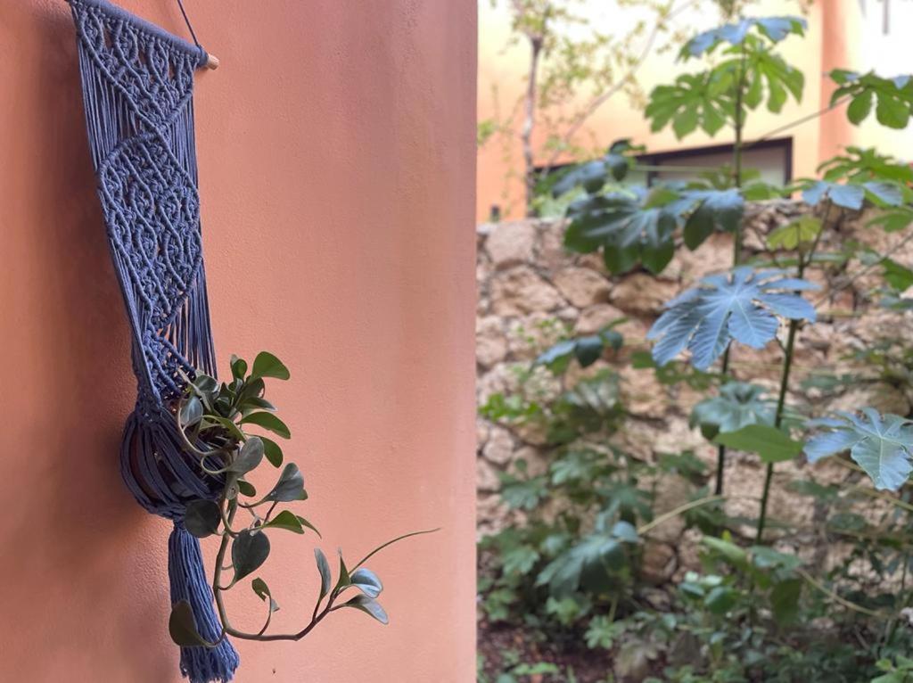 Aldea Savia By Andiani Travel Apartment