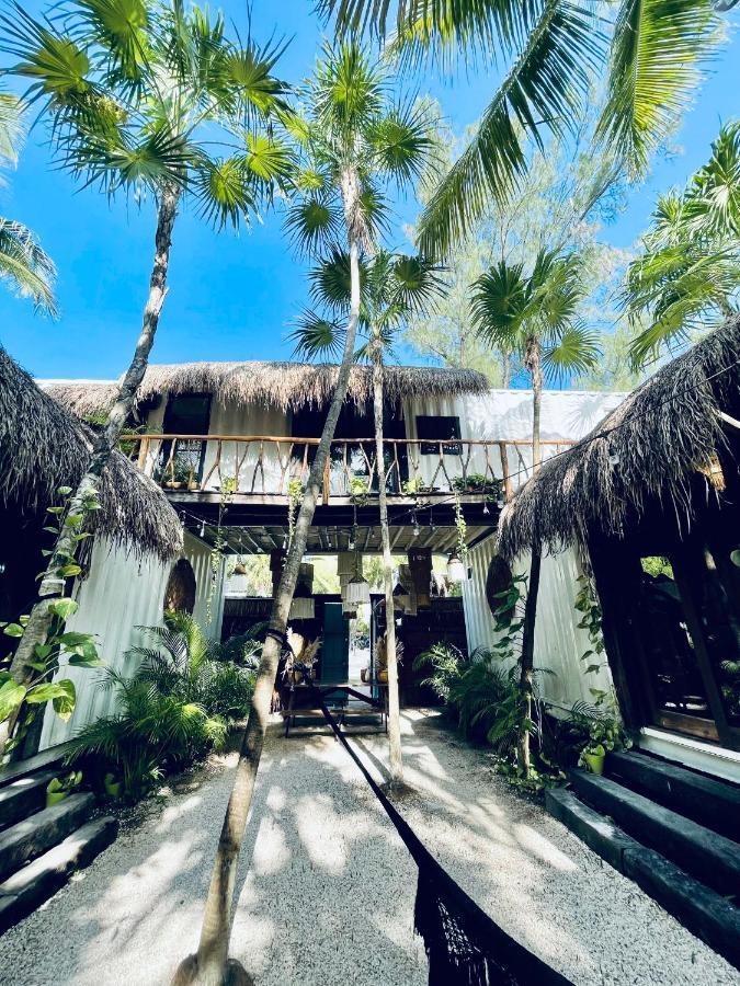 Pal Mar Glamtainer *