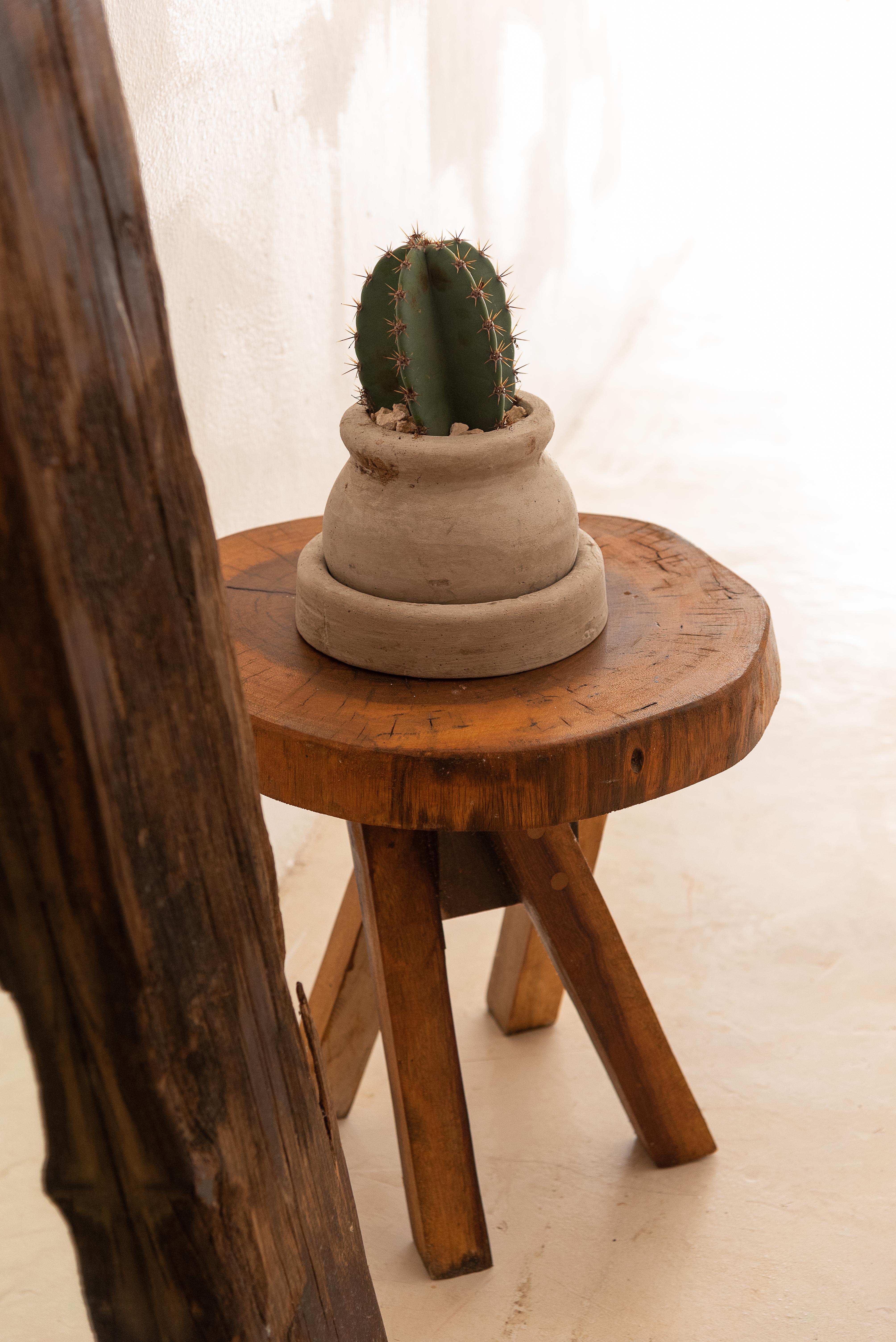 Hotel Amigos Boutique