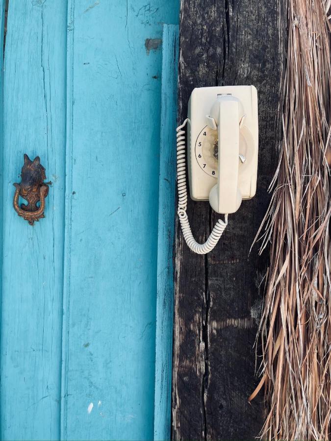 Pal Mar Glamtainer Tulum