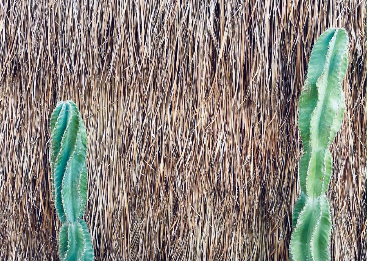 Pal Mar Glamtainer Hotel *