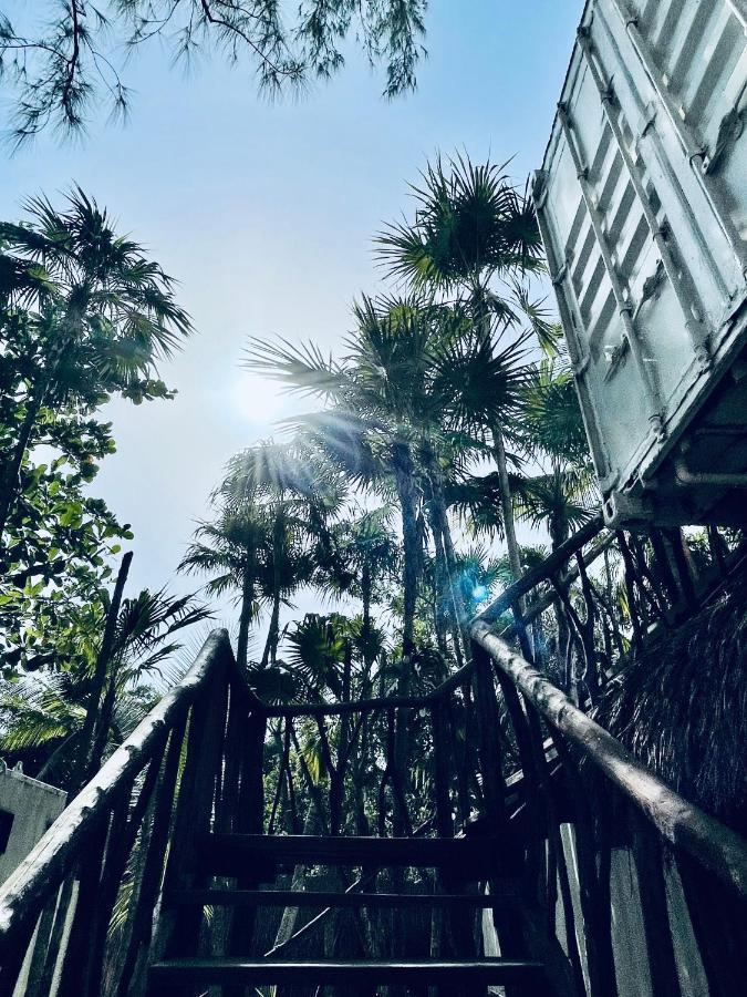 Pal Mar Glamtainer *