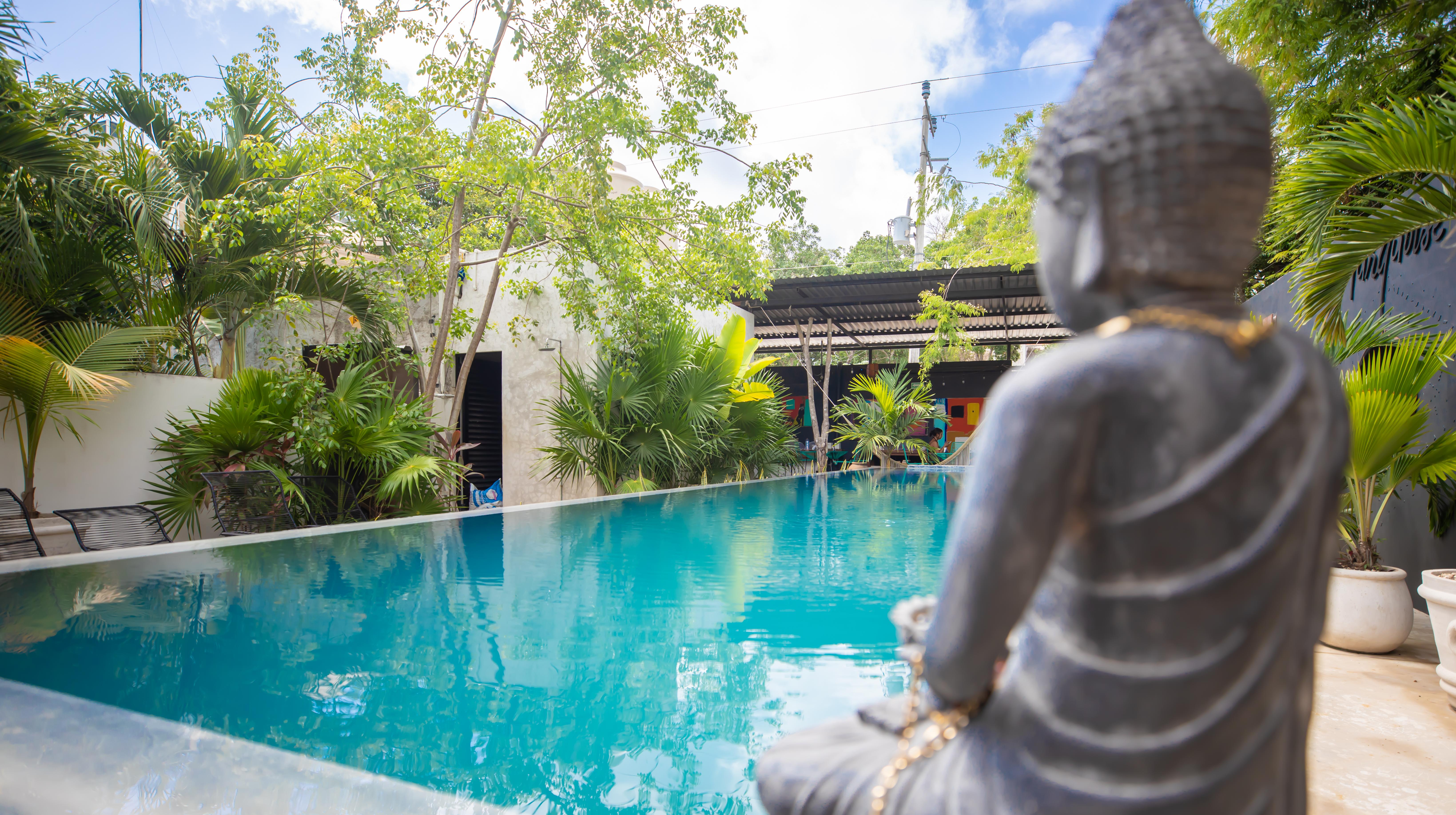 Turquoise (adults Only)