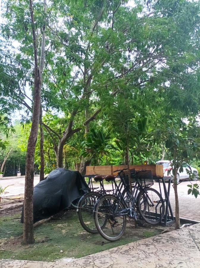 Apartment Cozy 1br Wifi & Gym Gaia Tulum