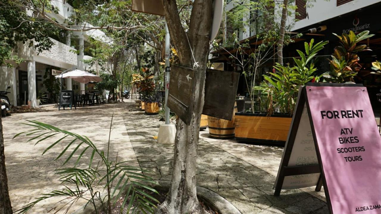 Cozy 1br Wifi & Gym Gaia * Tulum