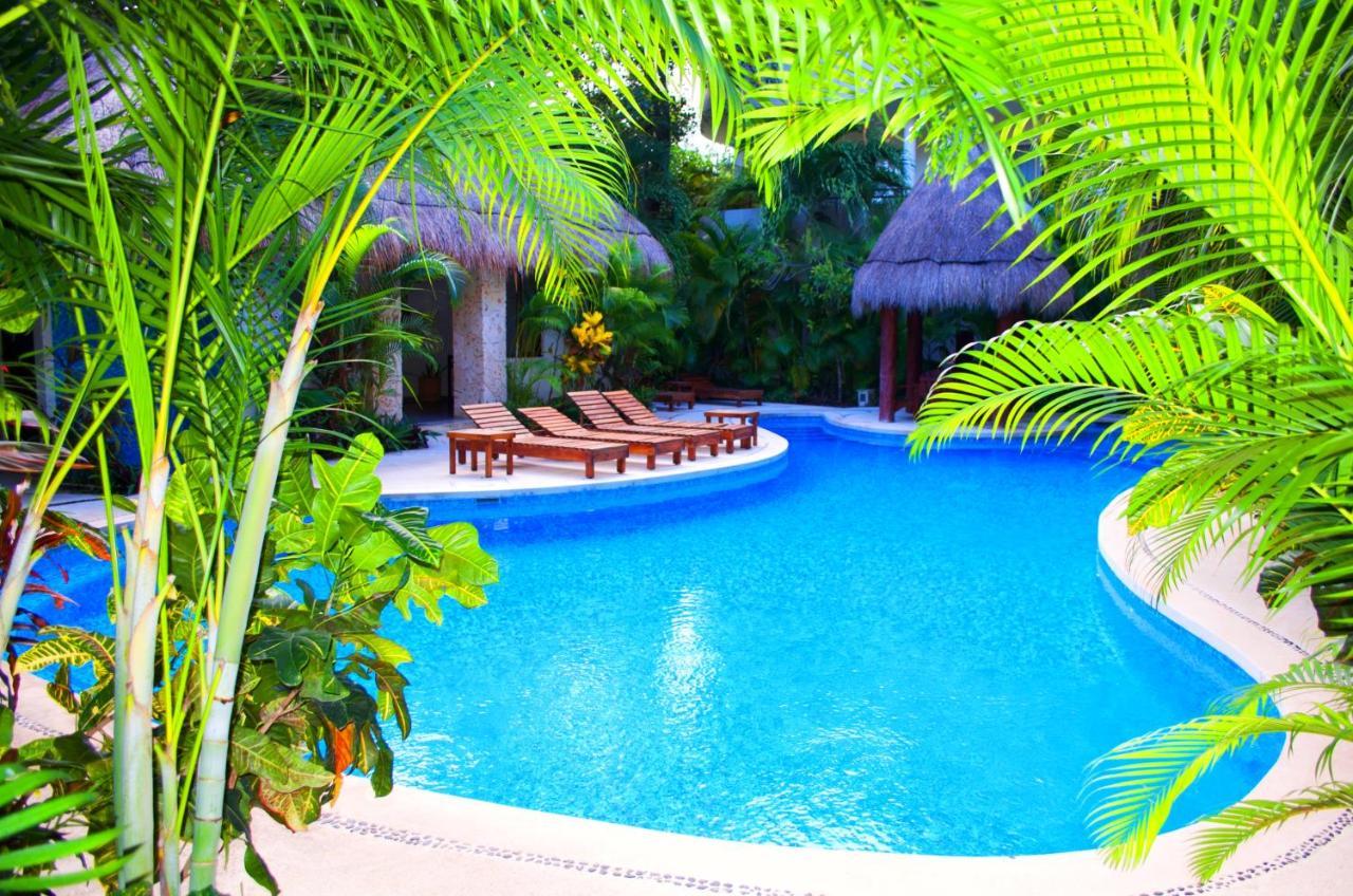 Puerta Zama - Luxury *