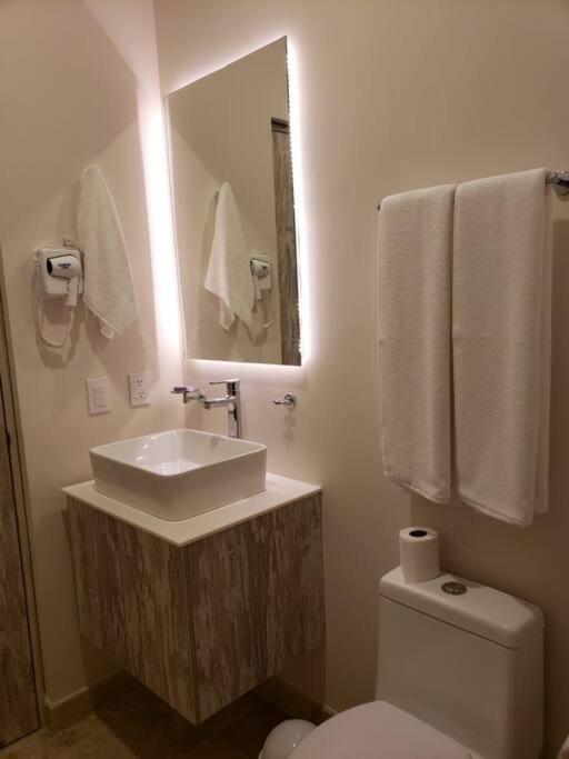 Estudio Super Comodo Acogedor Y Tranquilo Apartment