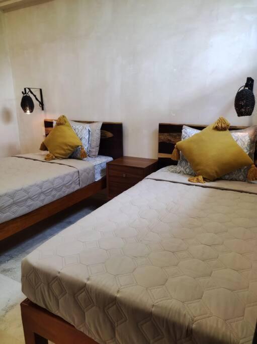Apartamento 102 Amena Hidden Gem In The Jungle Minutes From Sea