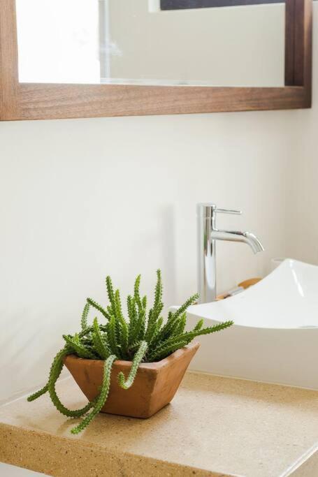 Neem 31 Comfortable, Luxury 10 Min To The Apartment