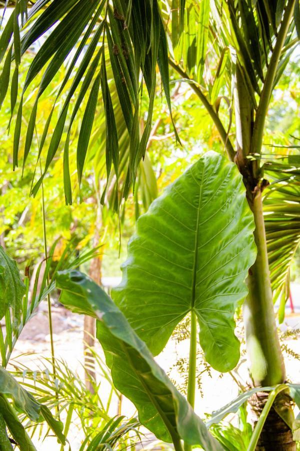 Adora Distinctive Residences Aparthotel *