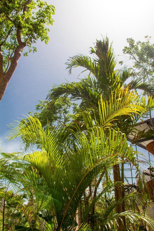 Adora Distinctive Residences * Tulum