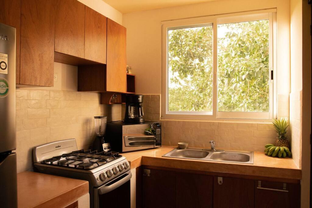 Apartment Shiny Casa Cacao/100mbpswifi