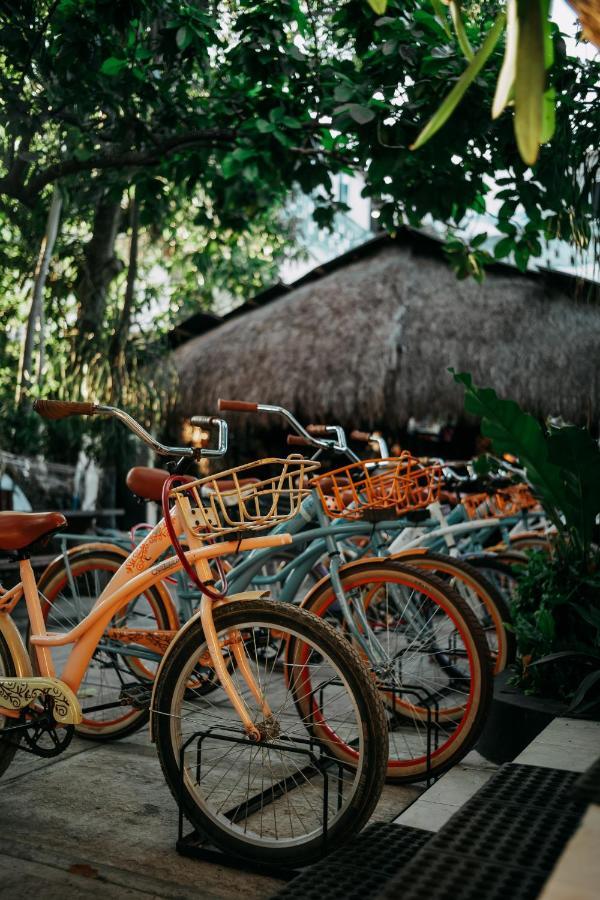 Oryx Hostel *