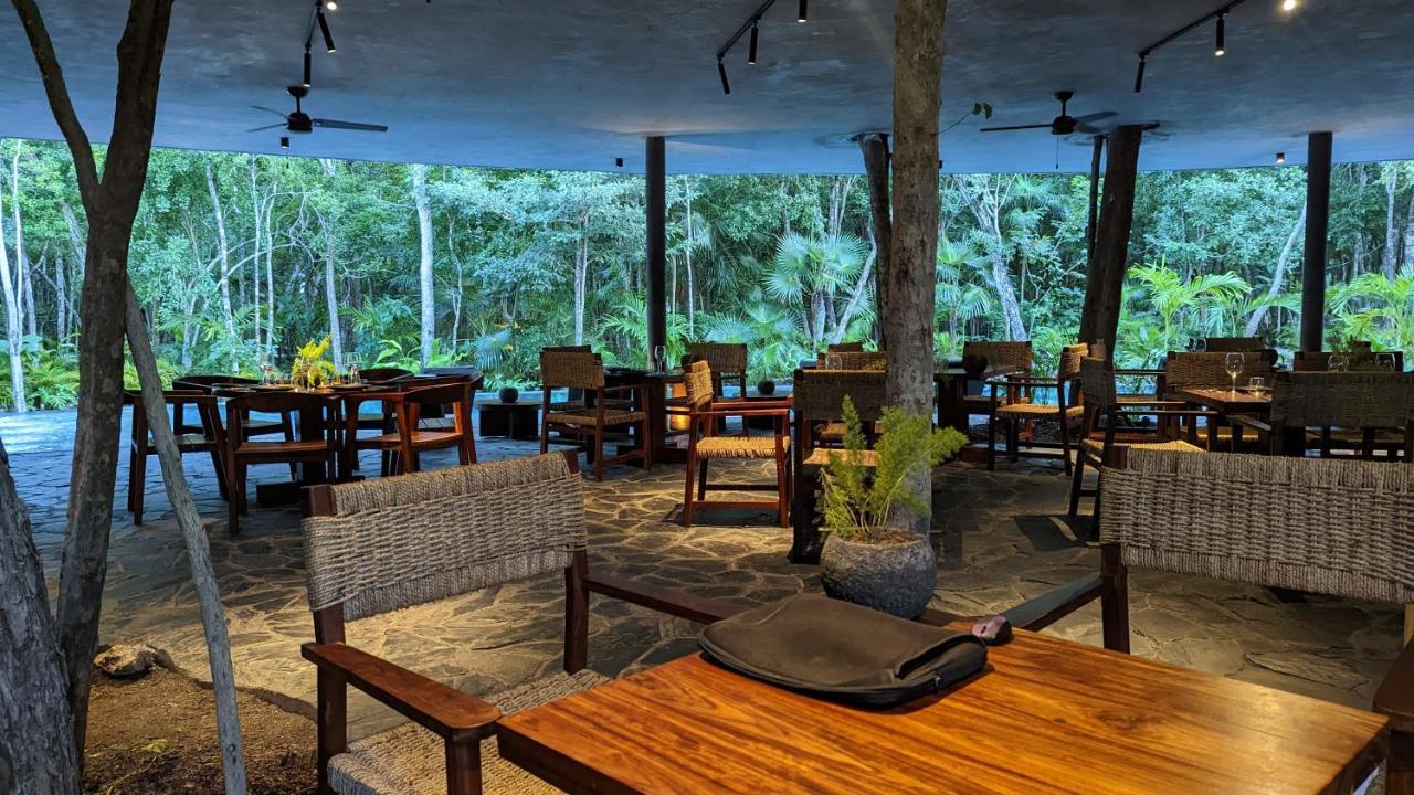 Apartment Charming Jungle In Luum Zama With Pool By Yeah