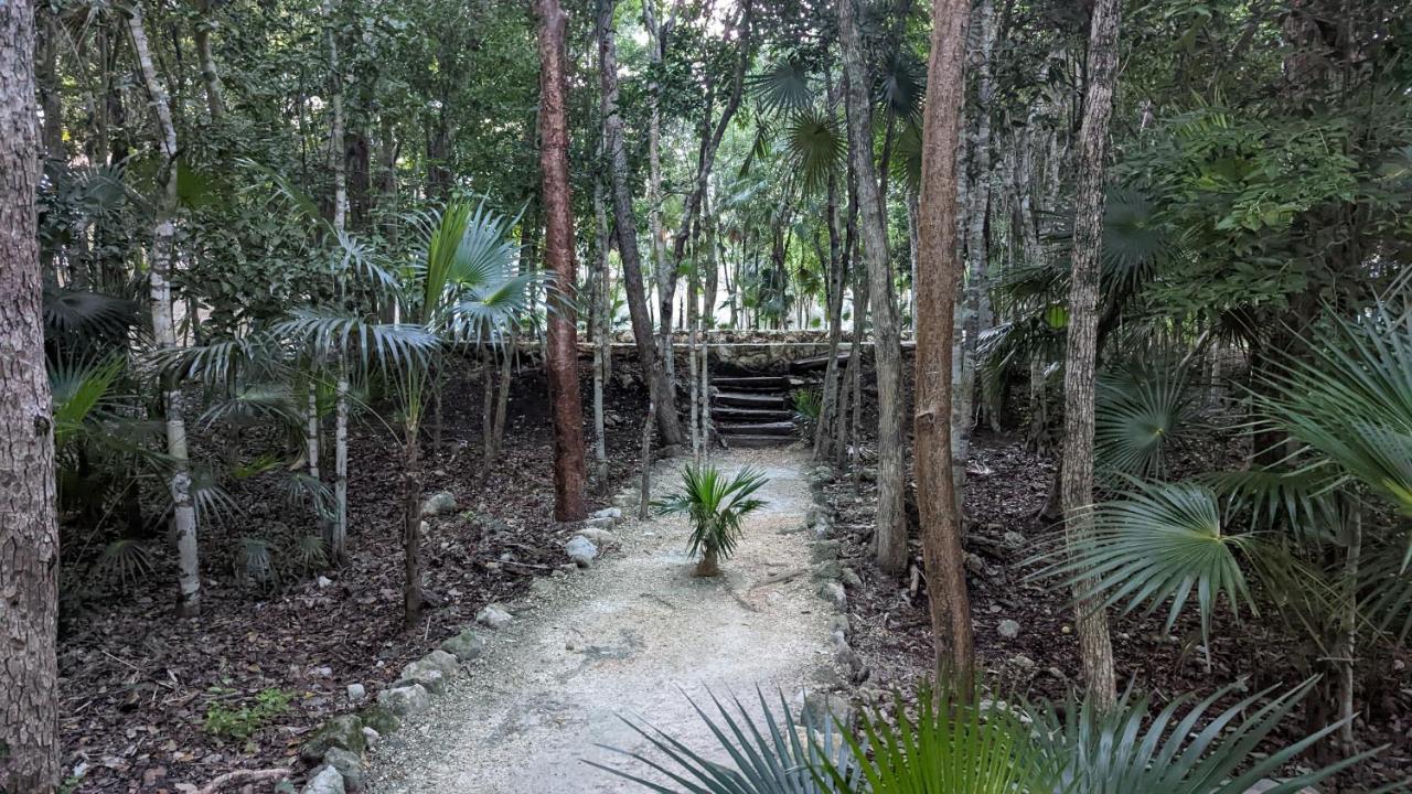 Charming Jungle In Luum Zama With Pool By Yeah Apartment