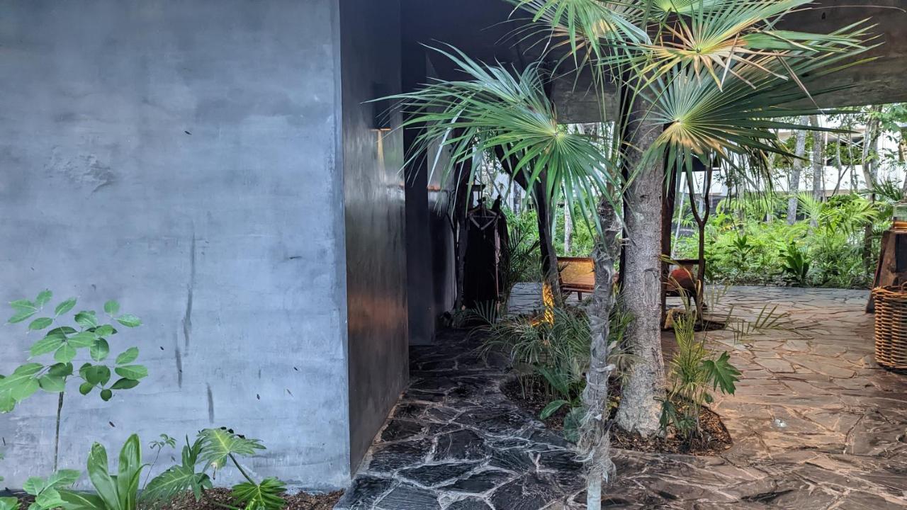 Charming Jungle In Luum Zama With Pool By Yeah * Tulum