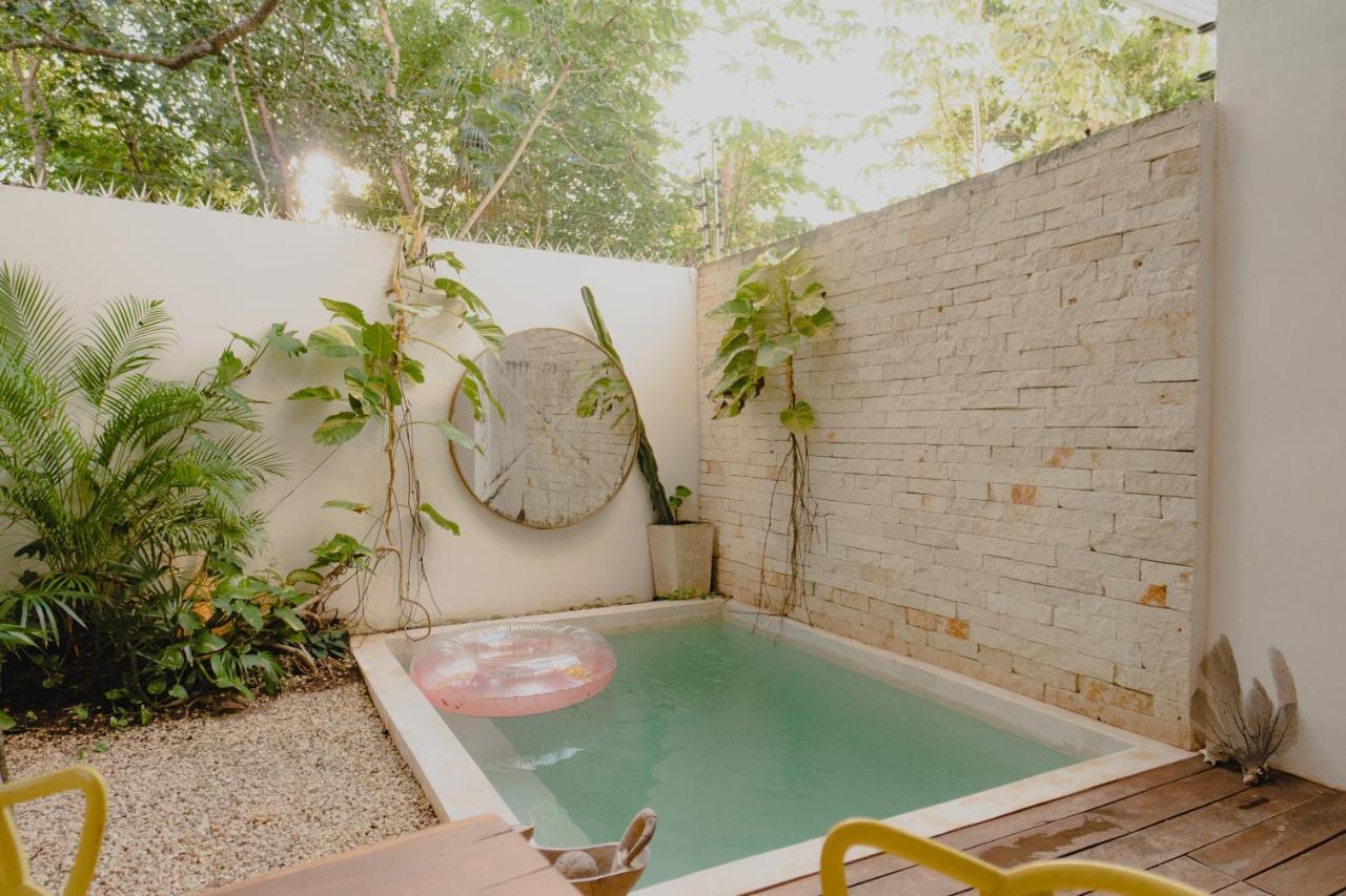 Ujo 100 Mb Wifi 2 Private Pools Tulum