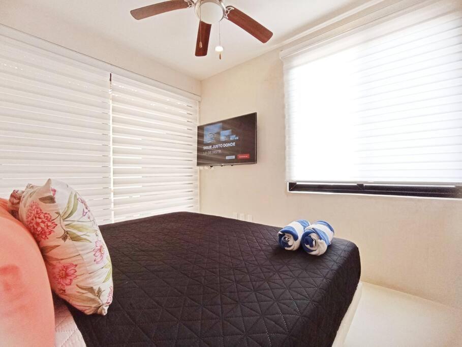 Apartment Saskab 10 Lovely 2br Ph, Minutes From The Sea & Downtown!