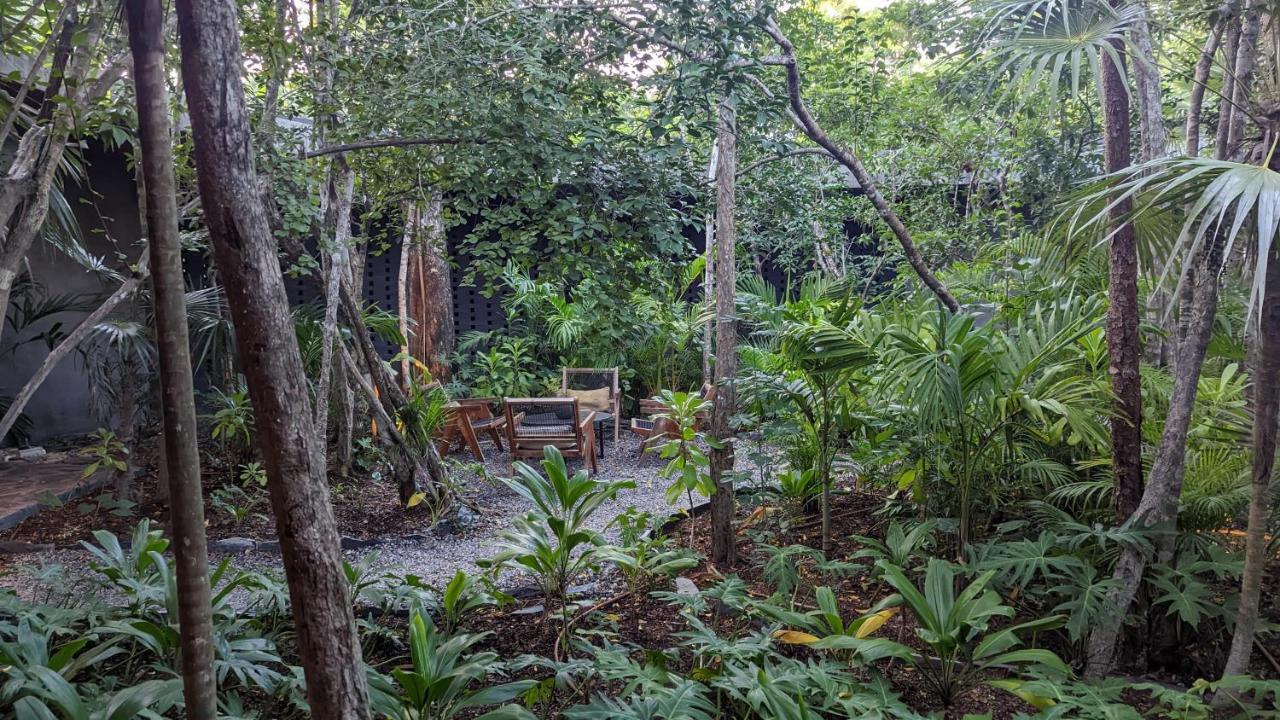 Apartment Charming Jungle In Luum Zama With Pool By Yeah