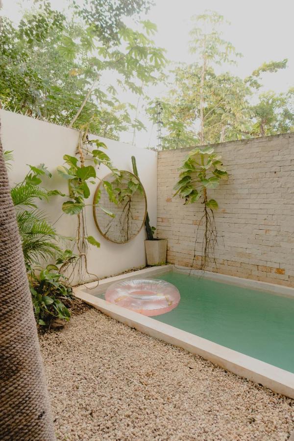 Ujo 100 Mb Wifi 2 Private Pools Tulum