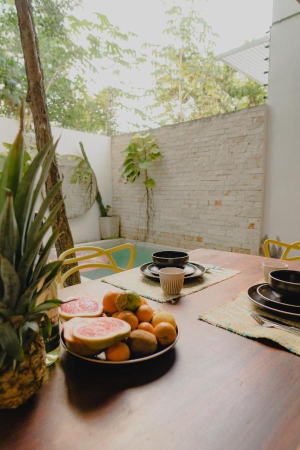 Ujo 100 Mb Wifi 2 Private Pools *