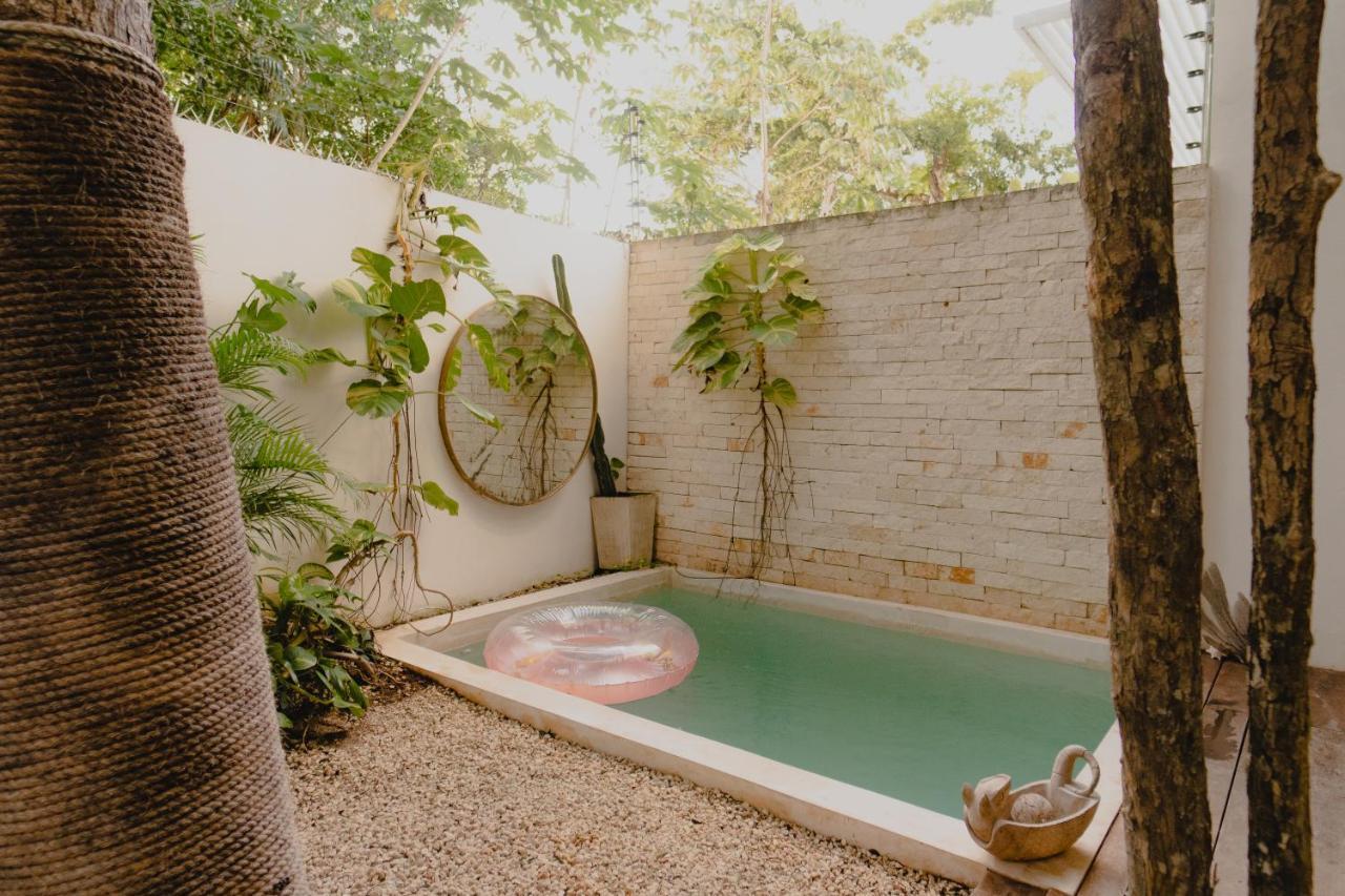 Villa Ujo 100 Mb Wifi 2 Private Pools Tulum