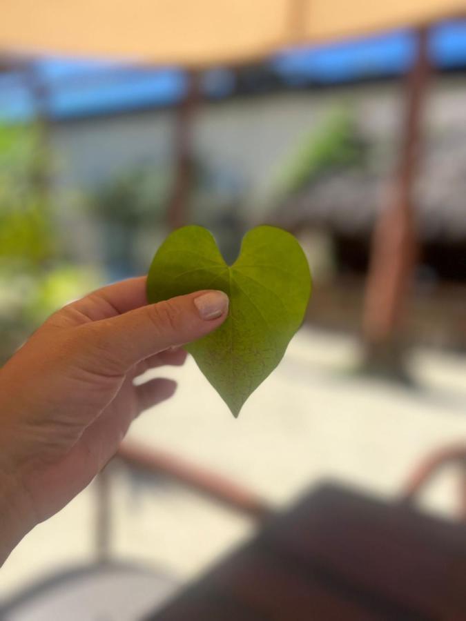 The - Food, Drinks And Transportation To The And Cenotes Tulum