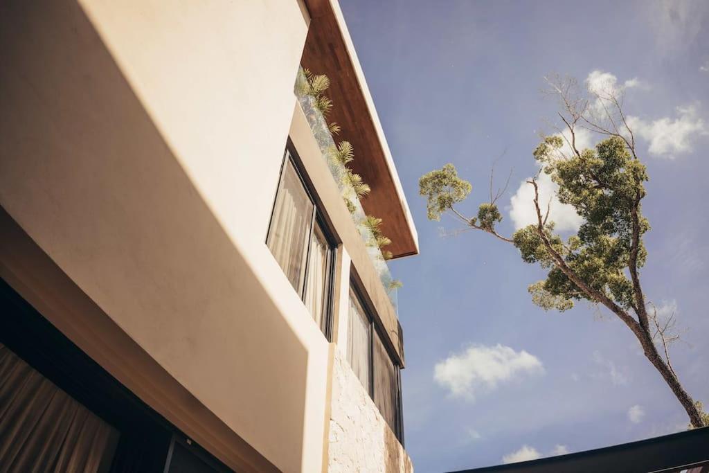 Illume - A Place Beyond Magic * Tulum