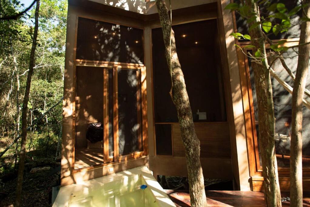 Ojo De Agua. Design+pool. Vive La Autentica Selva! Tulum