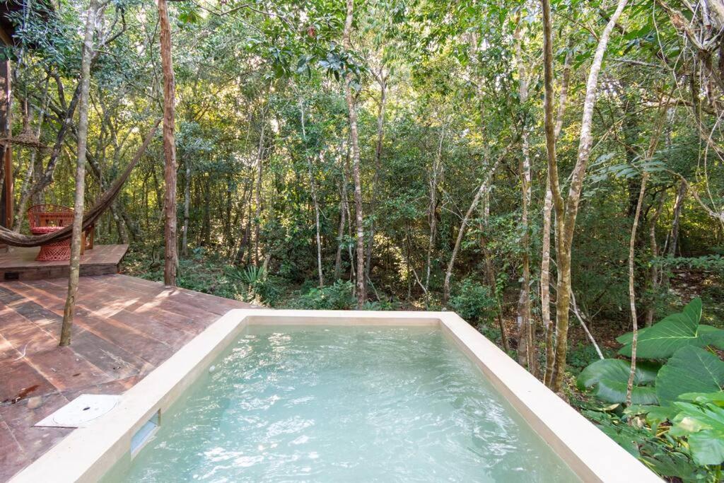Ojo De Agua. Design+pool. Vive La Autentica Selva! Holiday home *