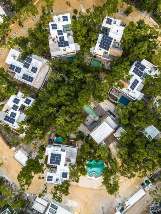 Xuncari In The Heart Of The Jungle * Tulum