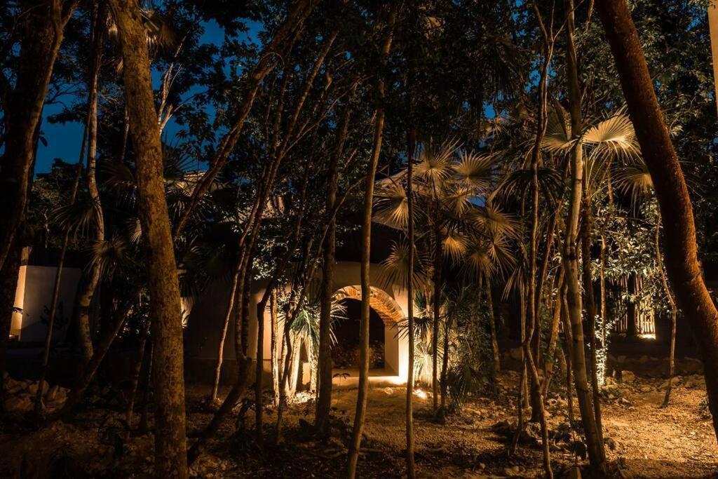 Xuncari In The Heart Of The Jungle * Tulum