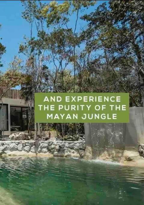 Xuncari In The Heart Of The Jungle Villa *