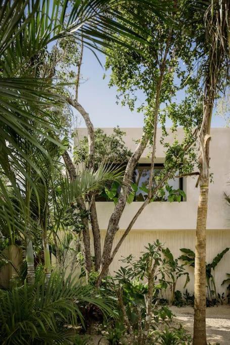 Casa Areca: Award-winning Architectural With Concierge