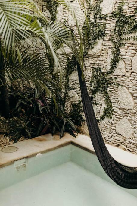 Villa 16tulum *