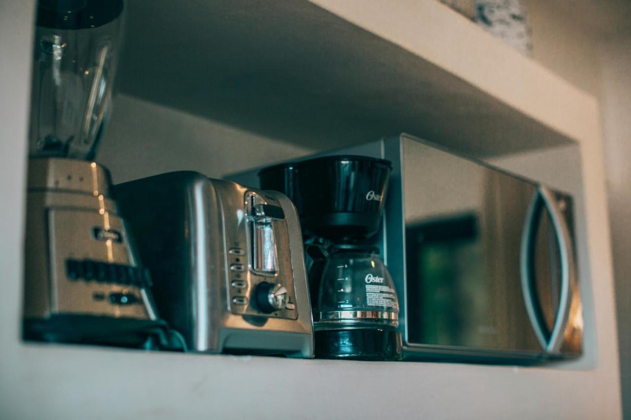 Vida Jungle 7 With Special Fee To Access Bardo Tulum