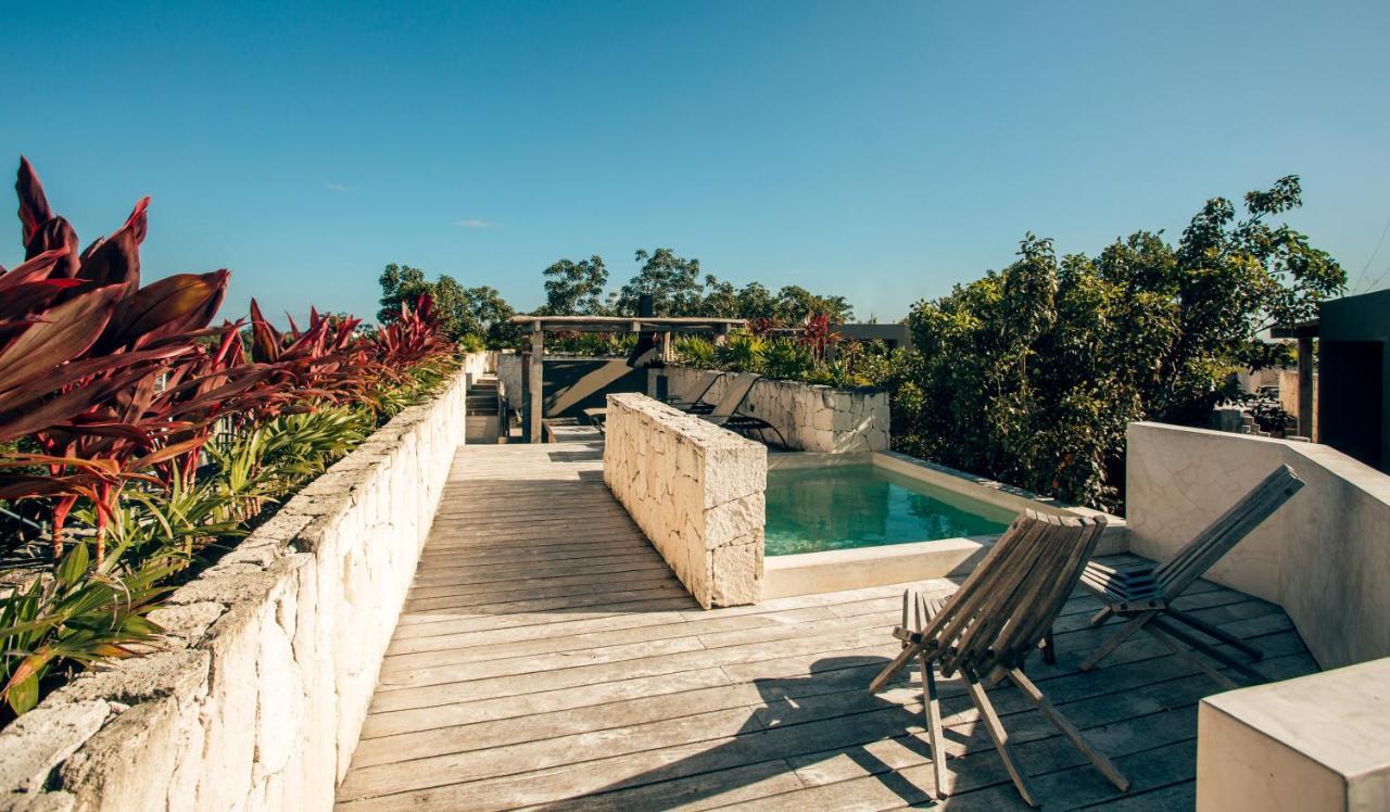 Vida Jungle 7 With Special Fee To Access Bardo Tulum