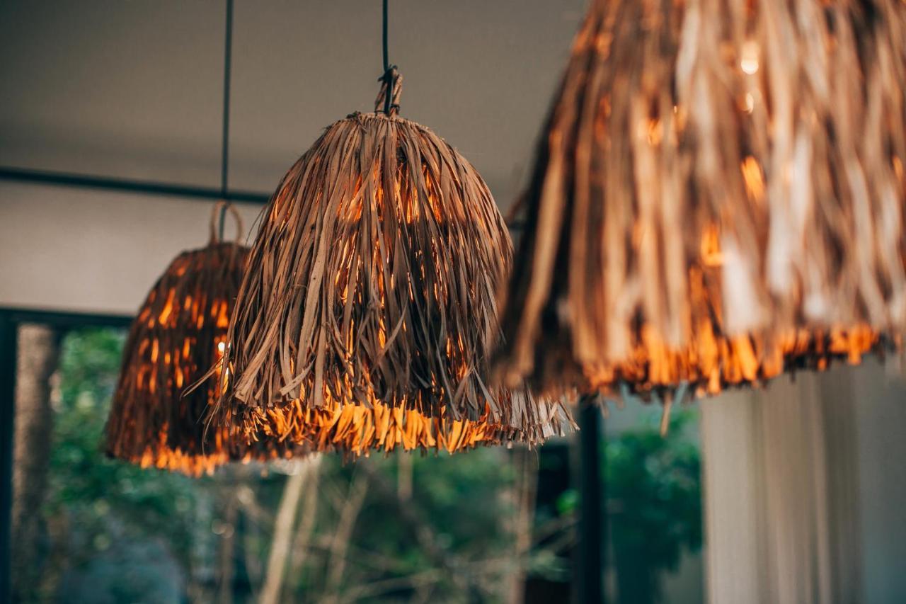 Vida Jungle 7 With Special Fee To Access Bardo * Tulum