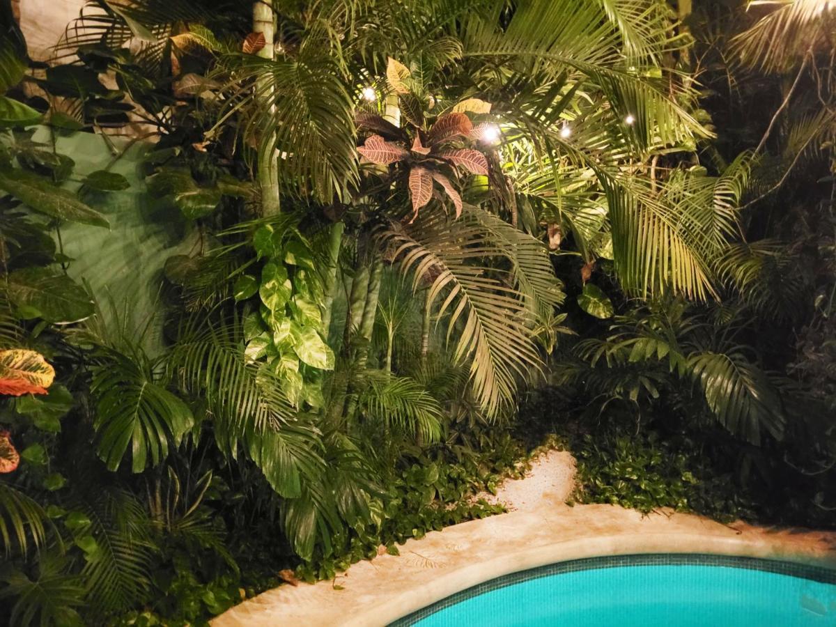 The Secret Garden Apartment Tulum