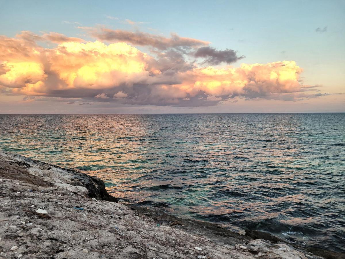 The Secret Garden Tulum