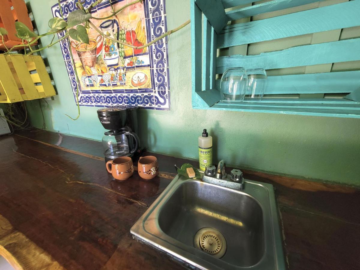 The Secret Garden Apartment