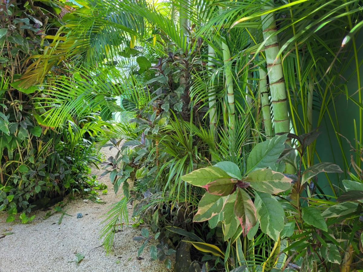 The Secret Garden Apartment Tulum