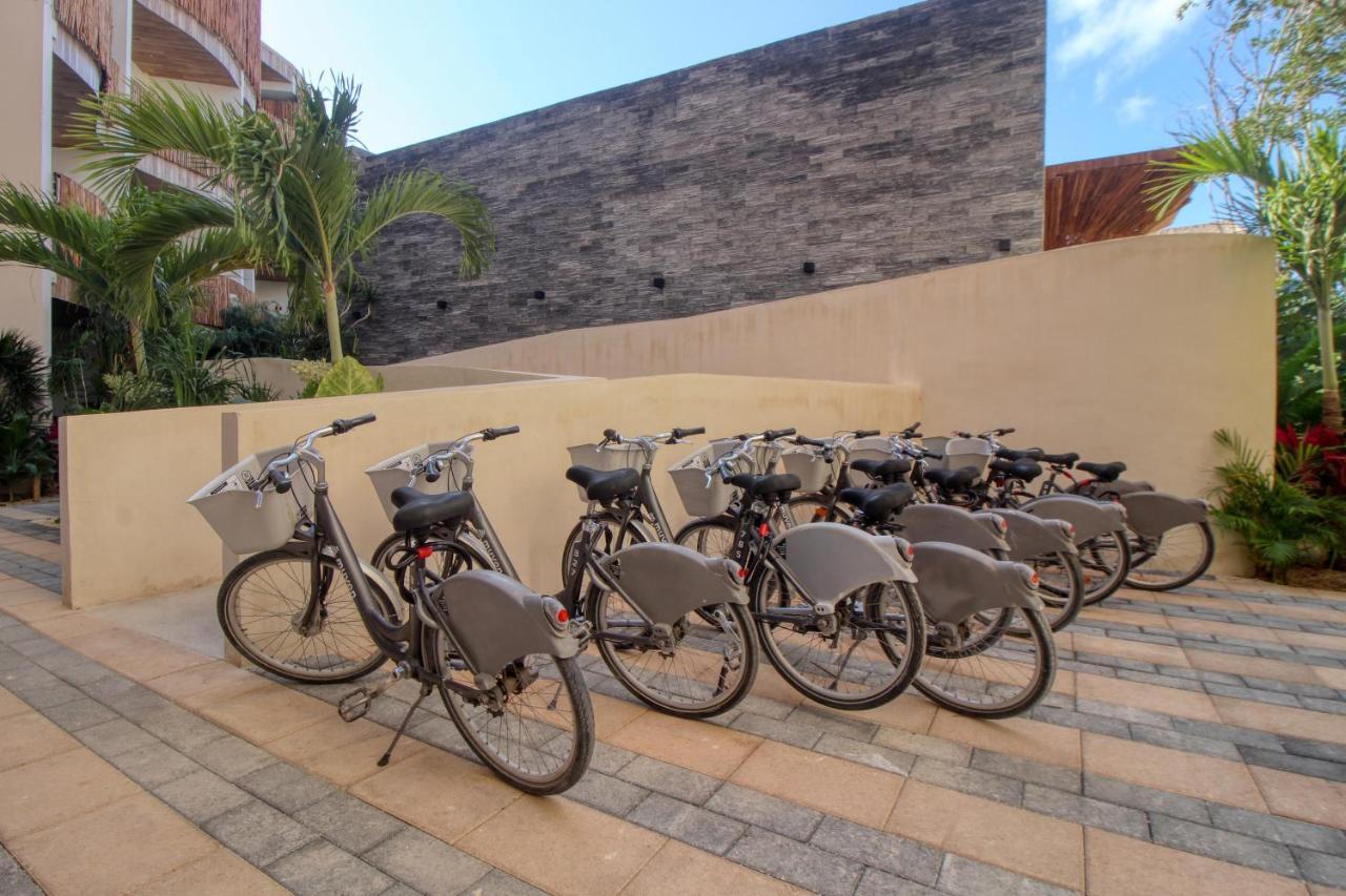 Hotel Adora 406 At Av Kukulkan